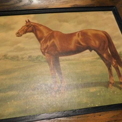 Set of Framed Thoroughbred Horse Print