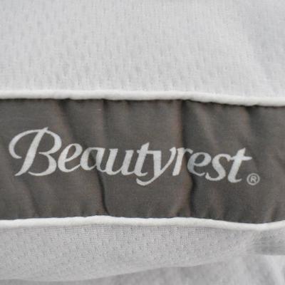 Beautyrest Silver Luxurious Spa Comfort Queen Pillows Set - Warehouse ...