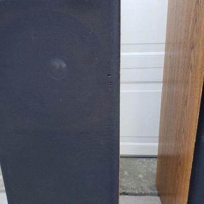 Fisher STV-911AV Speakers - Untested