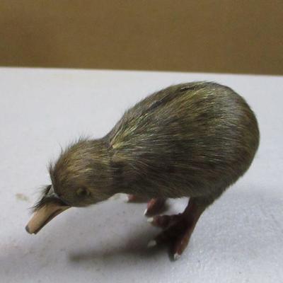 Lot 154 - Variety Of Birds 