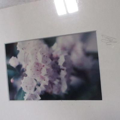 Lot 199 - Painting = Photograph - Plate - Carved Bird