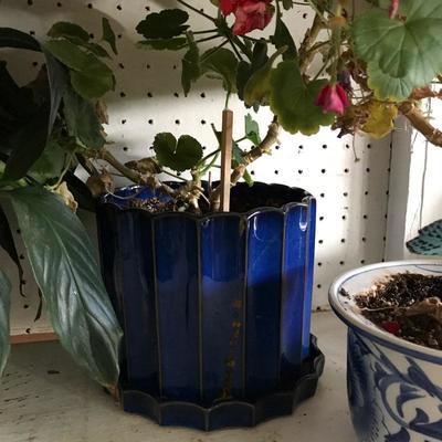 Lot 122- Flower Pots and Plants