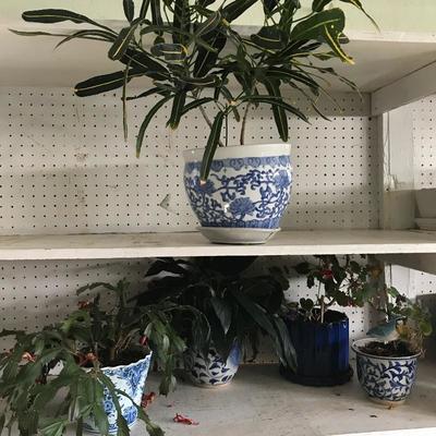 Lot 122- Flower Pots and Plants