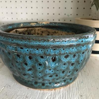 Lot 122- Flower Pots and Plants