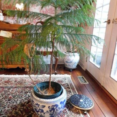 2 of 3:  Ceramic Jardinere Blue with White Asian Design 10"