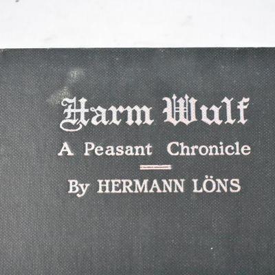 4 Vintage Hardcover Books: Harm Wulf, Naked Lunch, Noonday, Brann, 1931-1959