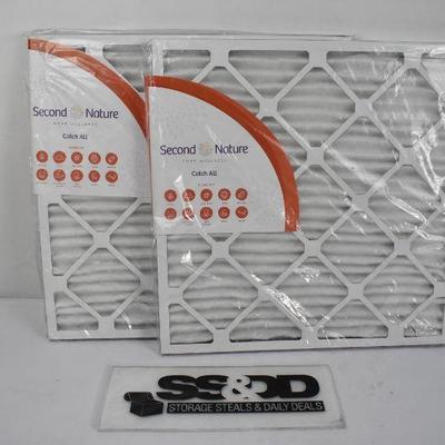 Pair of Filters, Second Nature 20