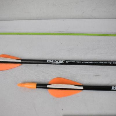 Bear Archery 1st Shot Youth Bow Set in Flo Green: 1 Bow & 2 Arrows