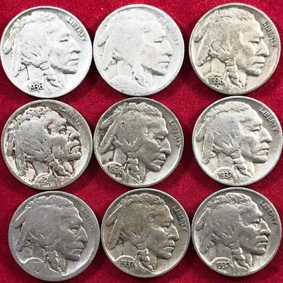 Lot #72- Nine Buffalo Nickels US Coins