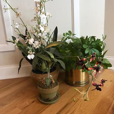 Lot 153 - Faux Orchids and Foliage