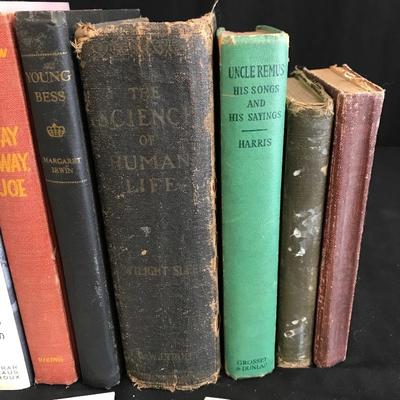 Lot 178 - Fun and Classic Books 
