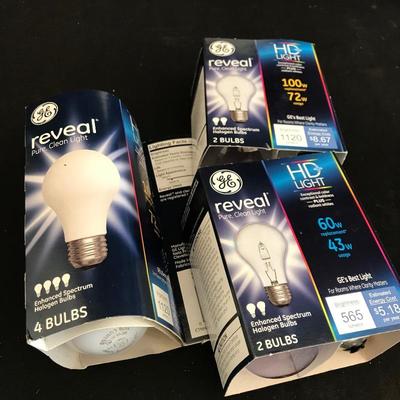 Lot 208 - Let There Be Light!
