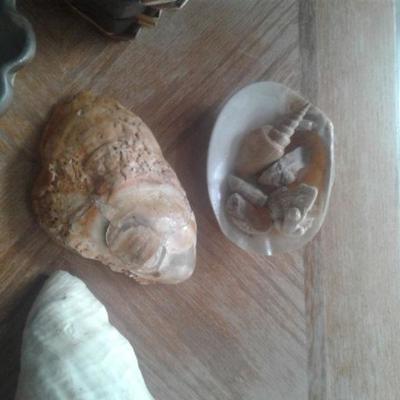 Soap dish shells and toiletries 