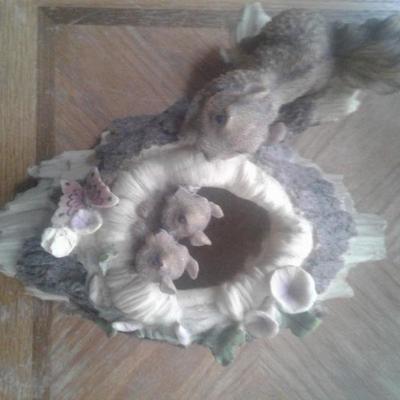 Squirrels 