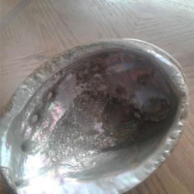 Big shell