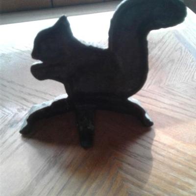 Cute squirrel 