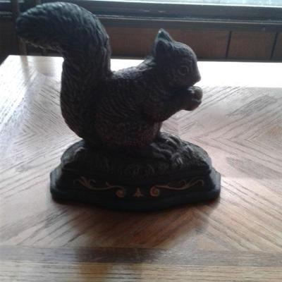 Cute squirrel 