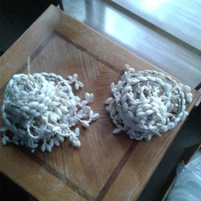 Seashells plant hanger 2