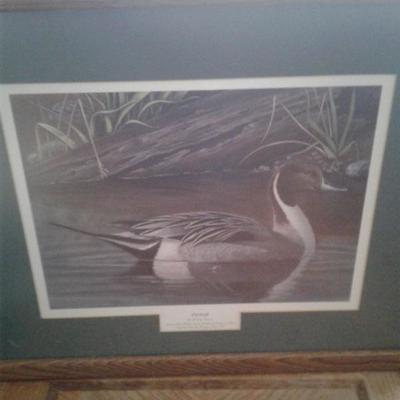 Ducks Unlimited 