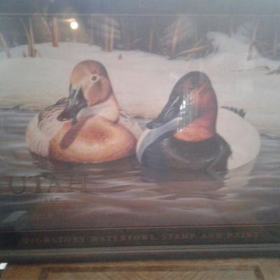 Ducks Unlimited 