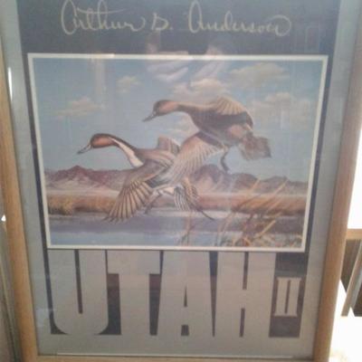 Ducks Unlimited 