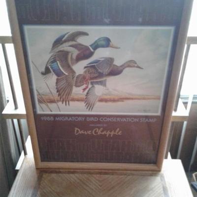 Ducks Unlimited 