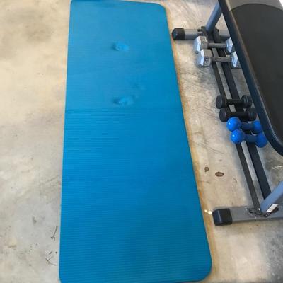 Lot 229 - Fitness Gear Bench, Weights and Mat