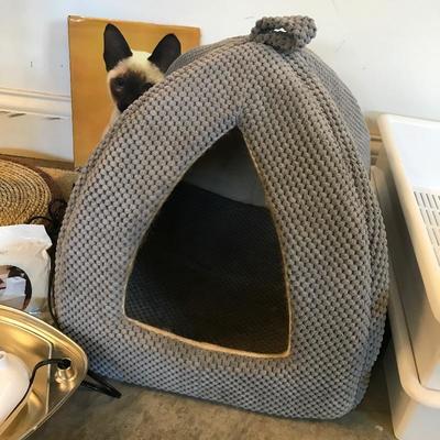 Lot 235 - Loving Cat Care Lot