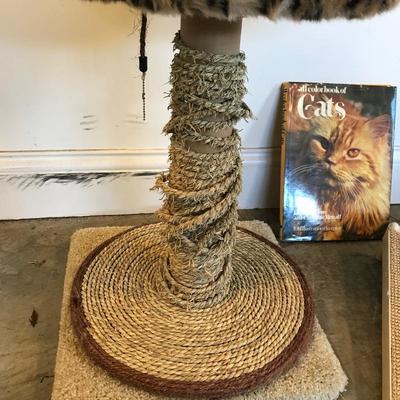 Lot 235 - Loving Cat Care Lot