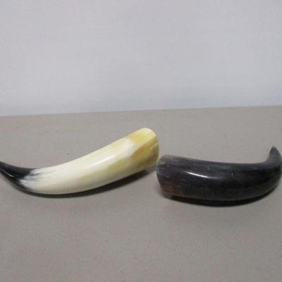 Lot 25 - Animal Bull Steer Cow Horn with White/Off White Accents