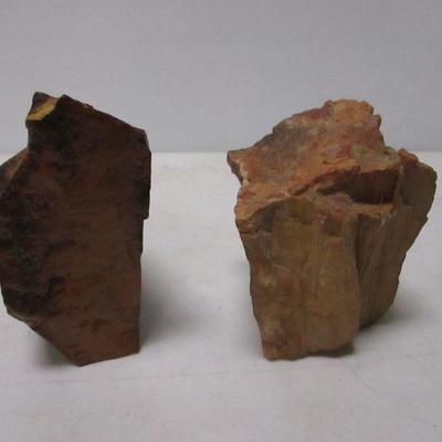 Lot 81 - Petrified Wood Pieces