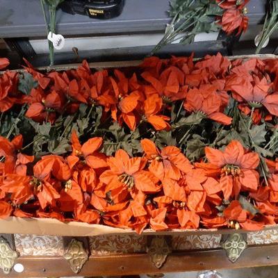 BOX OF 24 POINSETTIA BUNCHES