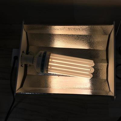 Lot 265 - Growing Lights and Accessories 