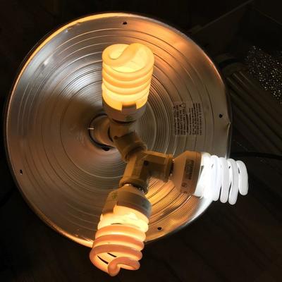 Lot 265 - Growing Lights and Accessories 
