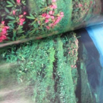 Lot 210 - National Geographic Society Hardback Books