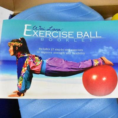 Exercise Ball Kit by Wai Lana. Medium 26