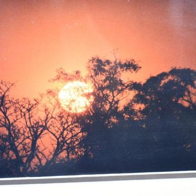Lot G-70: Framed Photograph