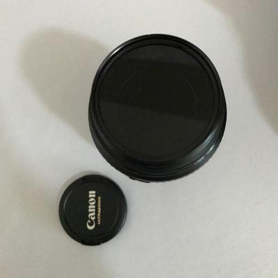 Lot 287- Like New Canon Camera Bag and Lenses
