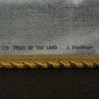 Framed Image "Fruit of the Land" No. 119 by J. Friedlinger, Vintage