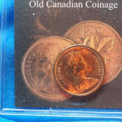 2 current collectable pennys 1 2008 D     1 1965 Canadian penny              352