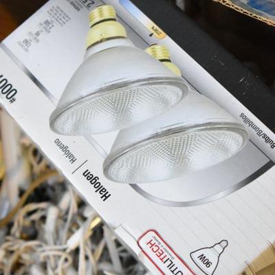 Lot B-99: Collection of Christmas Lights