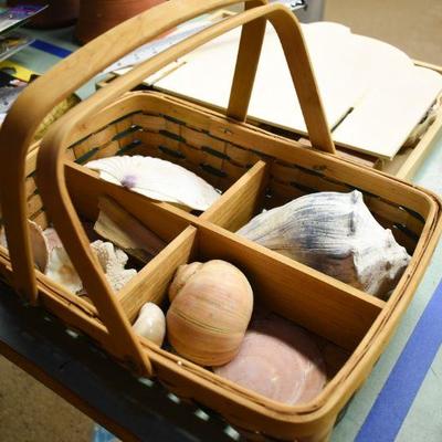 Lot B-156: Sectioned Hangled Basket with Assortment of Shells