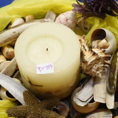 Lot B-159: Collection of Shells, Driftwood and Shell Candle