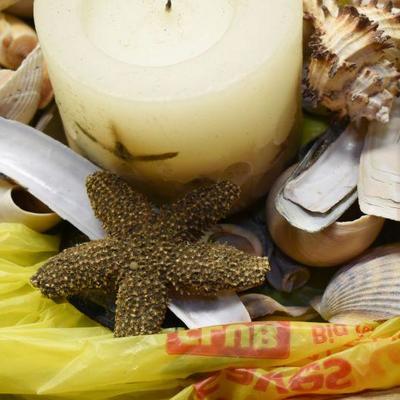 Lot B-159: Collection of Shells, Driftwood and Shell Candle