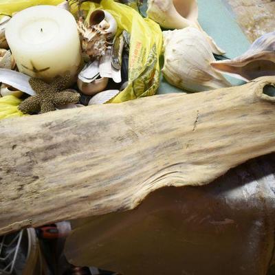 Lot B-159: Collection of Shells, Driftwood and Shell Candle