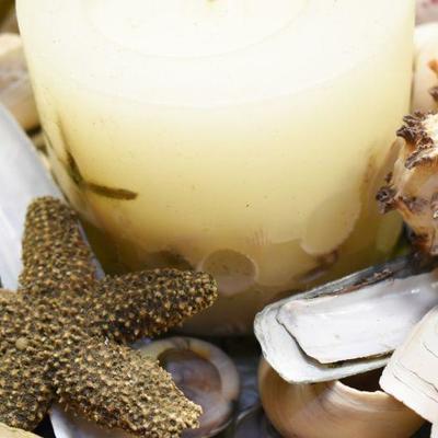 Lot B-159: Collection of Shells, Driftwood and Shell Candle