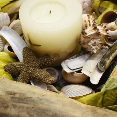 Lot B-159: Collection of Shells, Driftwood and Shell Candle