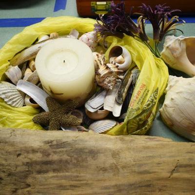 Lot B-159: Collection of Shells, Driftwood and Shell Candle