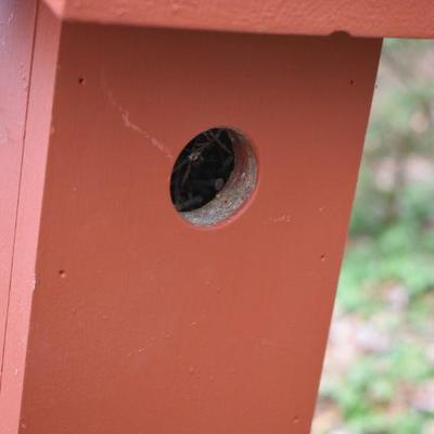 Lot O-23: Birdfeeder, Hummingbird feeder, and Bird House