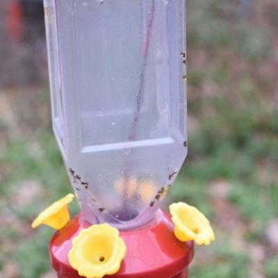 Lot O-23: Birdfeeder, Hummingbird feeder, and Bird House